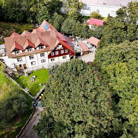 B&B Harmont Montis- Dawna Zajacowka- Idealna Lokalizacja - Lesna Enklawa W Centrum Miasta! Sauna, Masaze, Zabiegi Spa!