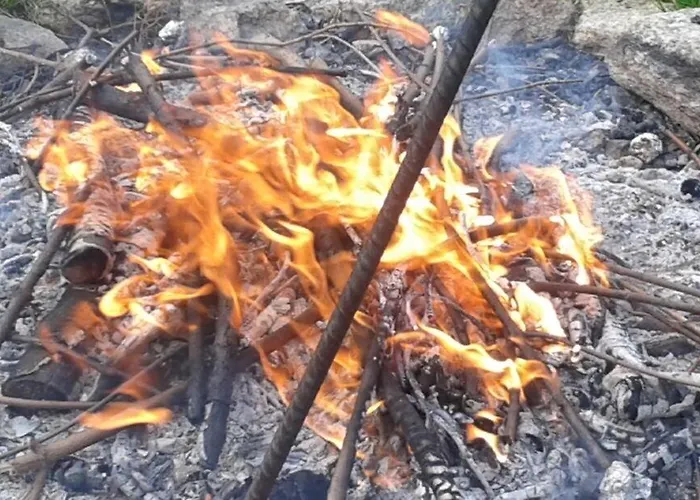 Harmont Montis- Dawna Zajacowka- Idealna Lokalizacja - Lesna Enklawa W Centrum Miasta! Sauna, Masaze, Zabiegi Spa! 3* Szklarska Poreba