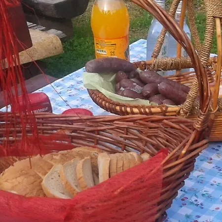 Bed & Breakfast Harmont Montis- Dawna Zajacowka- Idealna Lokalizacja - Lesna Enklawa W Centrum Miasta! Sauna, Masaze, Zabiegi Spa!
